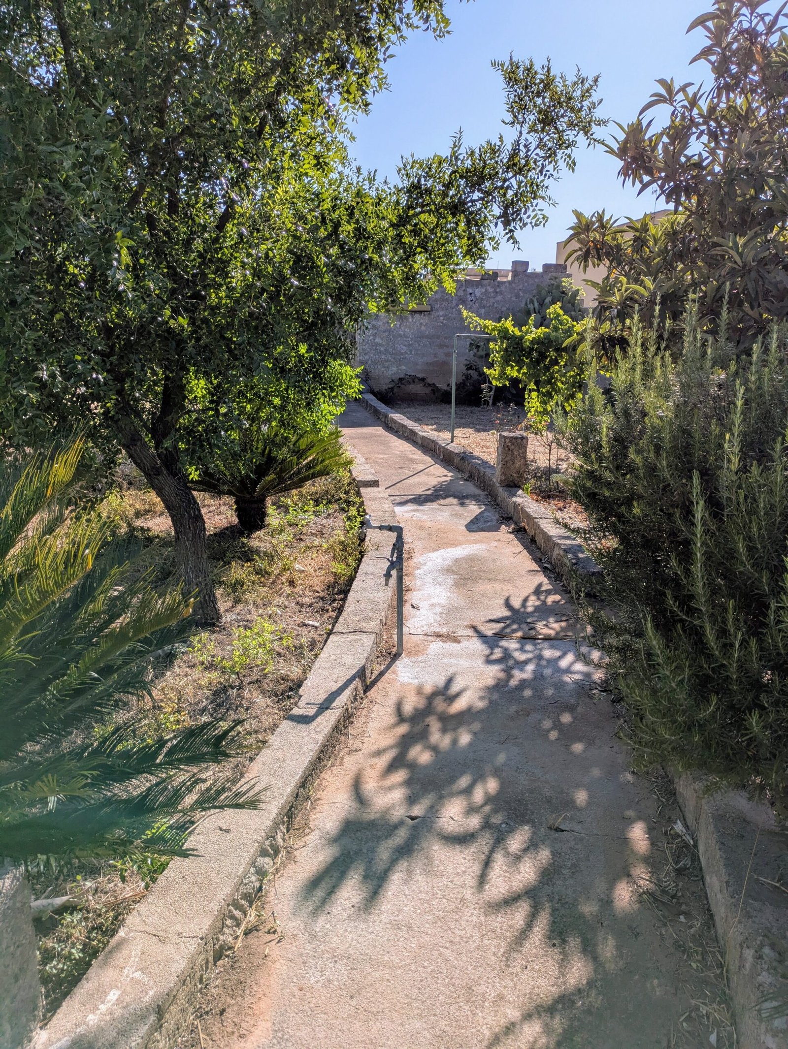 PXL_20250621_154029758_2
