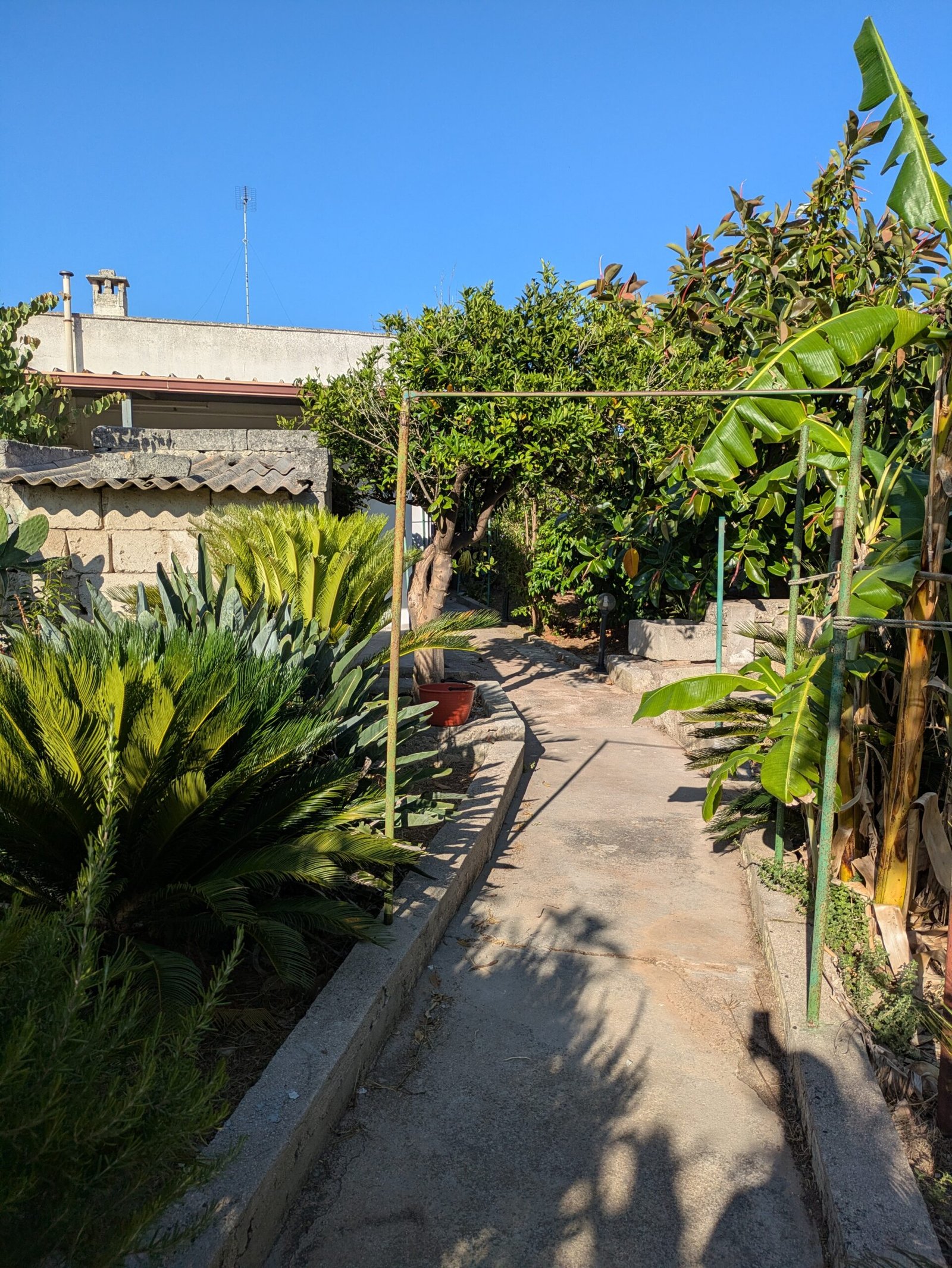 PXL_20250621_154103380